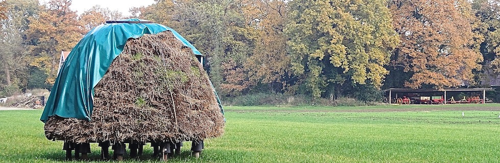 Hay during your walk B&B Hofstede de Rieke Smit